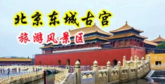 生物老师透明肉丝御姐中国北京-东城古宫旅游风景区